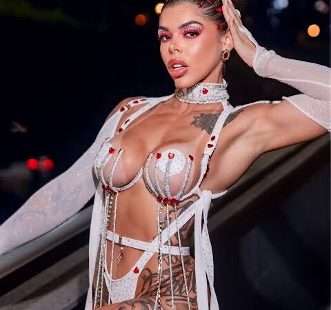 Após reclamações dos vizinhos por festa, Influenciadora catarinense viraliza ao receber a PM usando micro-biquini