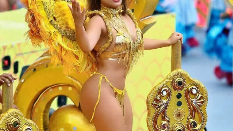 Thalyta Mel anuncia que não irá desfilar mais pela Nenê de Vila Matilde