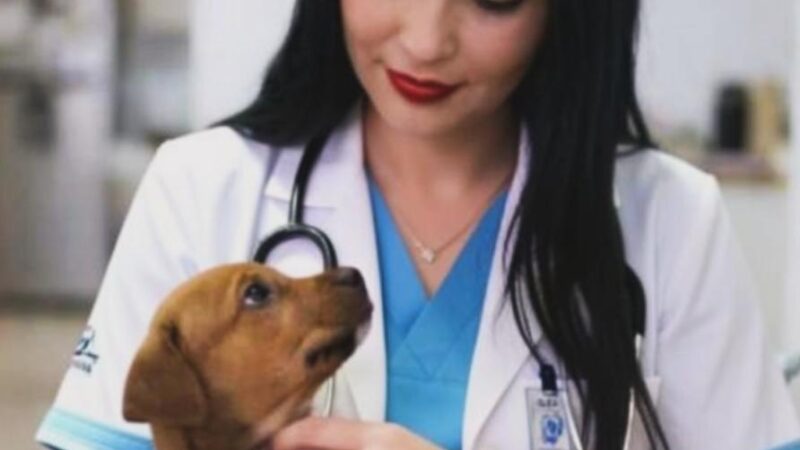 Dedicação e Amor: Maria Isabella Transforma a Paixão por Pets em Profissão em Santa Cruz (RN)
