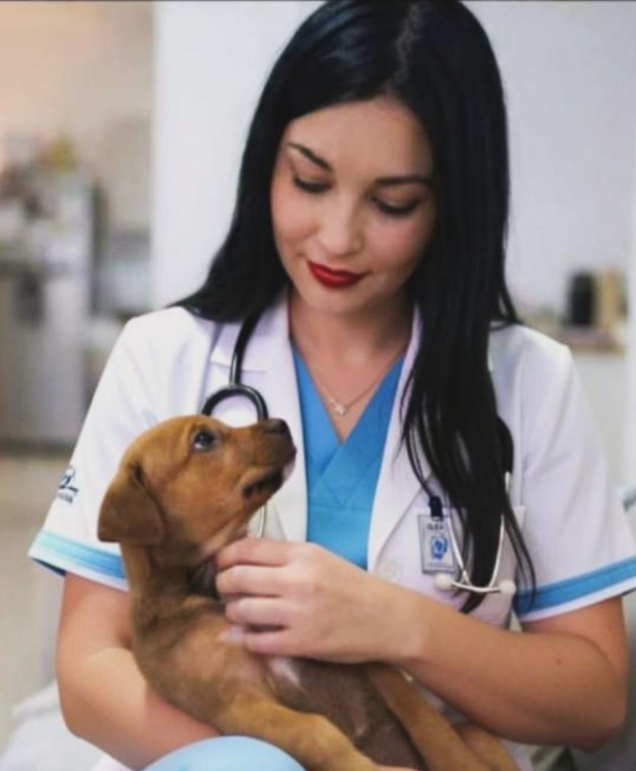 Dedicação e Amor: Maria Isabella Transforma a Paixão por Pets em Profissão em Santa Cruz (RN)